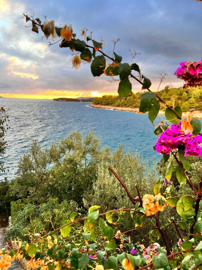 Luxury Beachfront Villa Carlisa Čiovo Dış mekan fotoğraf